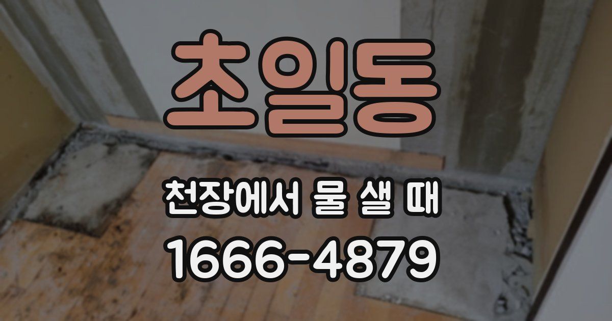 초일동 천장에서 물 샐 때