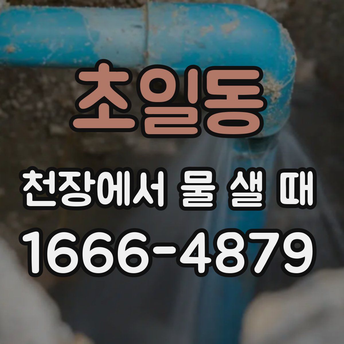 초일동 천장에서 물 샐 때