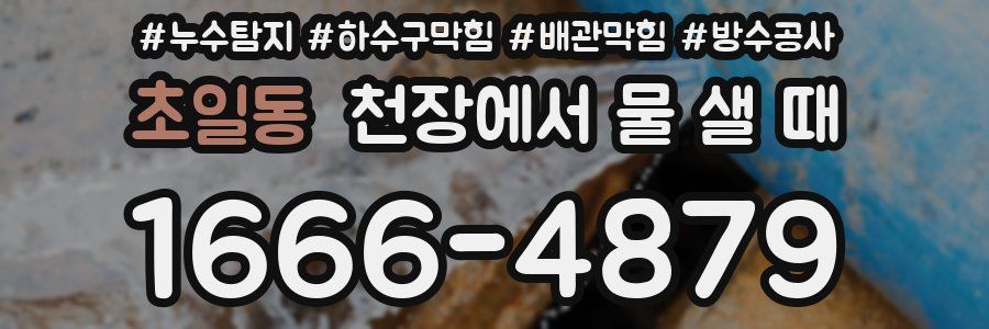 초일동 천장에서 물 샐 때