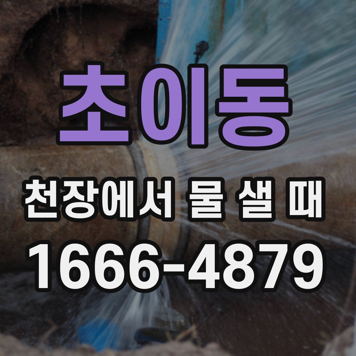 초이동 천장에서 물 샐 때