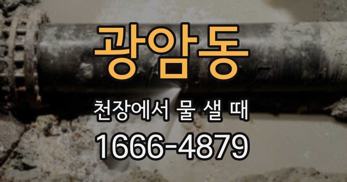 광암동 천장에서 물 샐 때