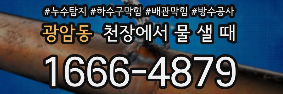광암동 천장에서 물 샐 때