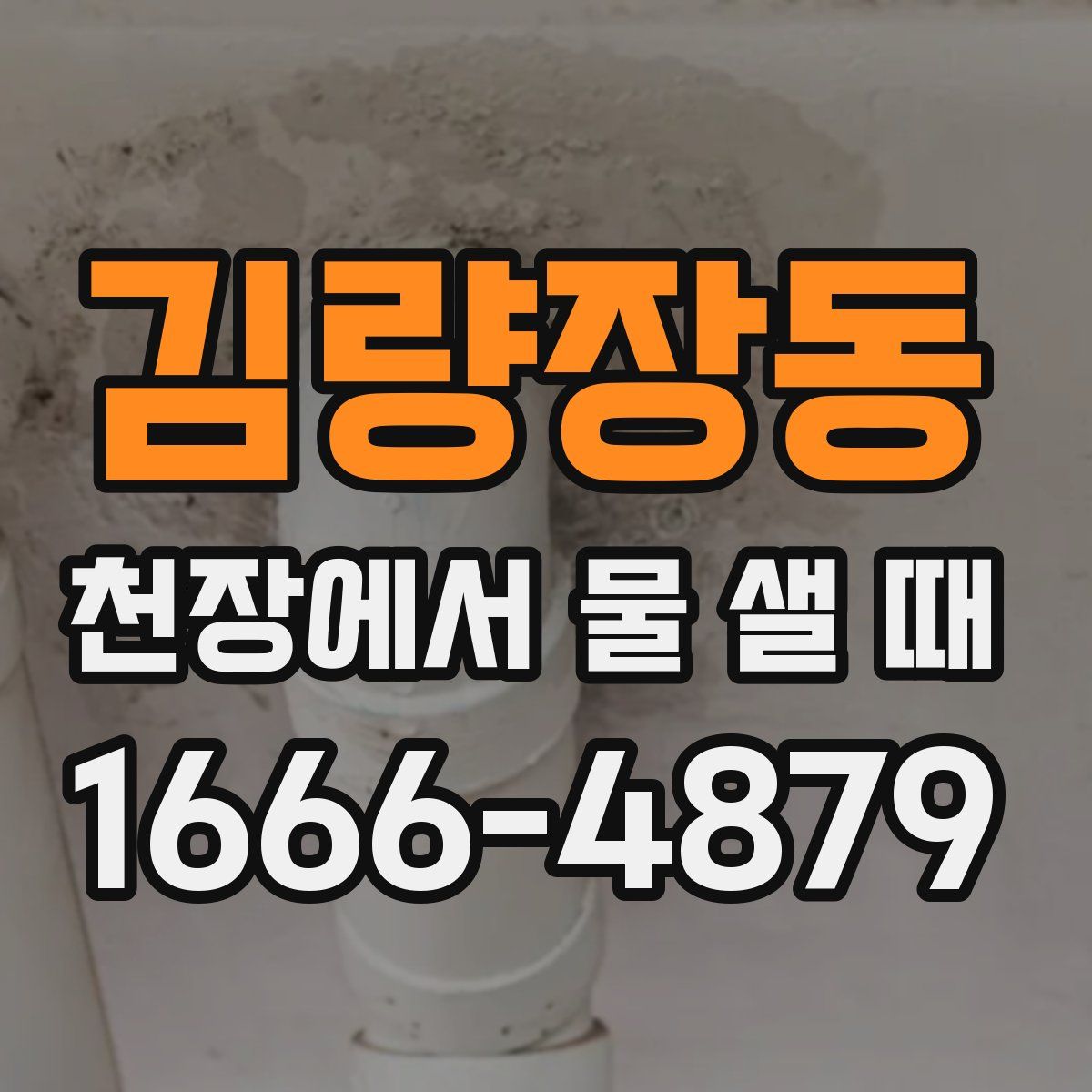 김량장동 천장에서 물 샐 때