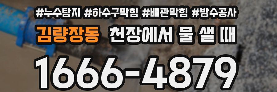 김량장동 천장에서 물 샐 때