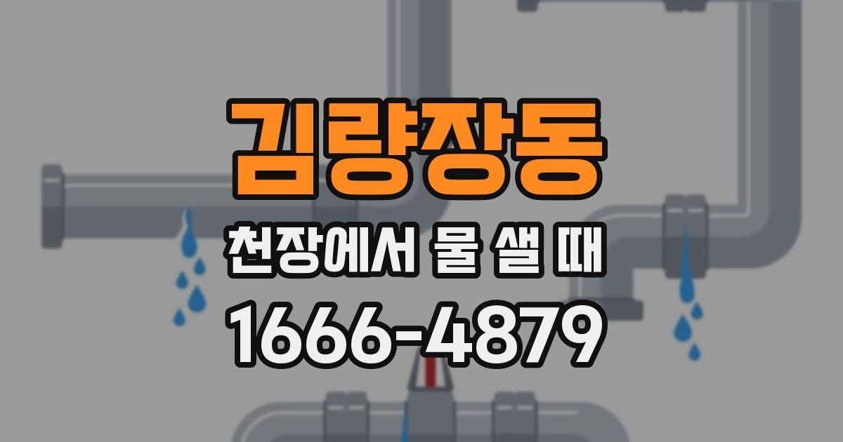 김량장동 천장에서 물 샐 때