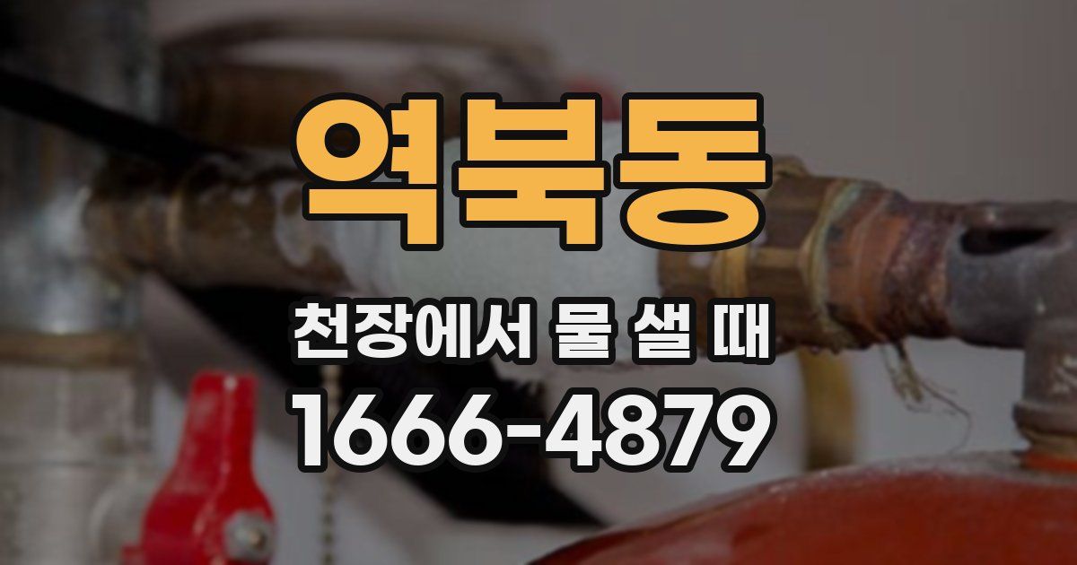 역북동 천장에서 물 샐 때
