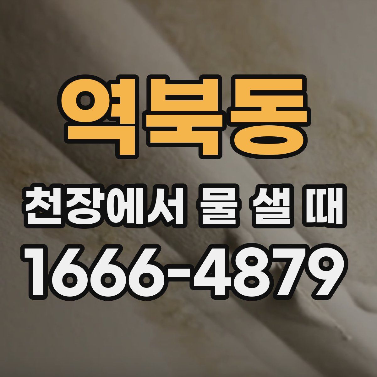 역북동 천장에서 물 샐 때
