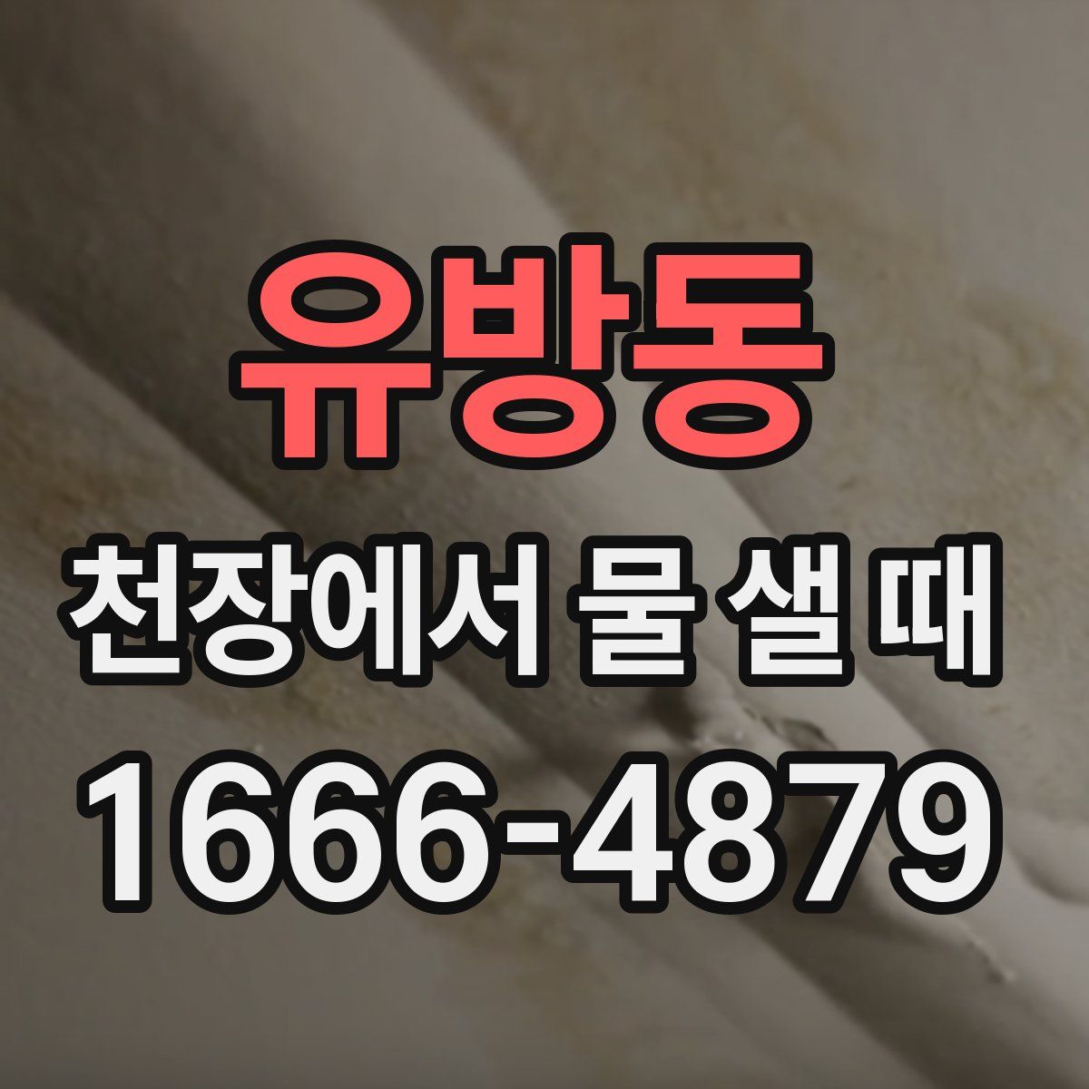 유방동 천장에서 물 샐 때