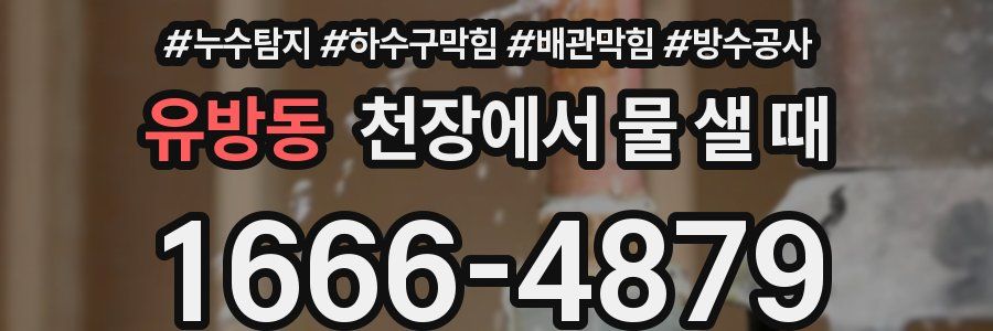 유방동 천장에서 물 샐 때