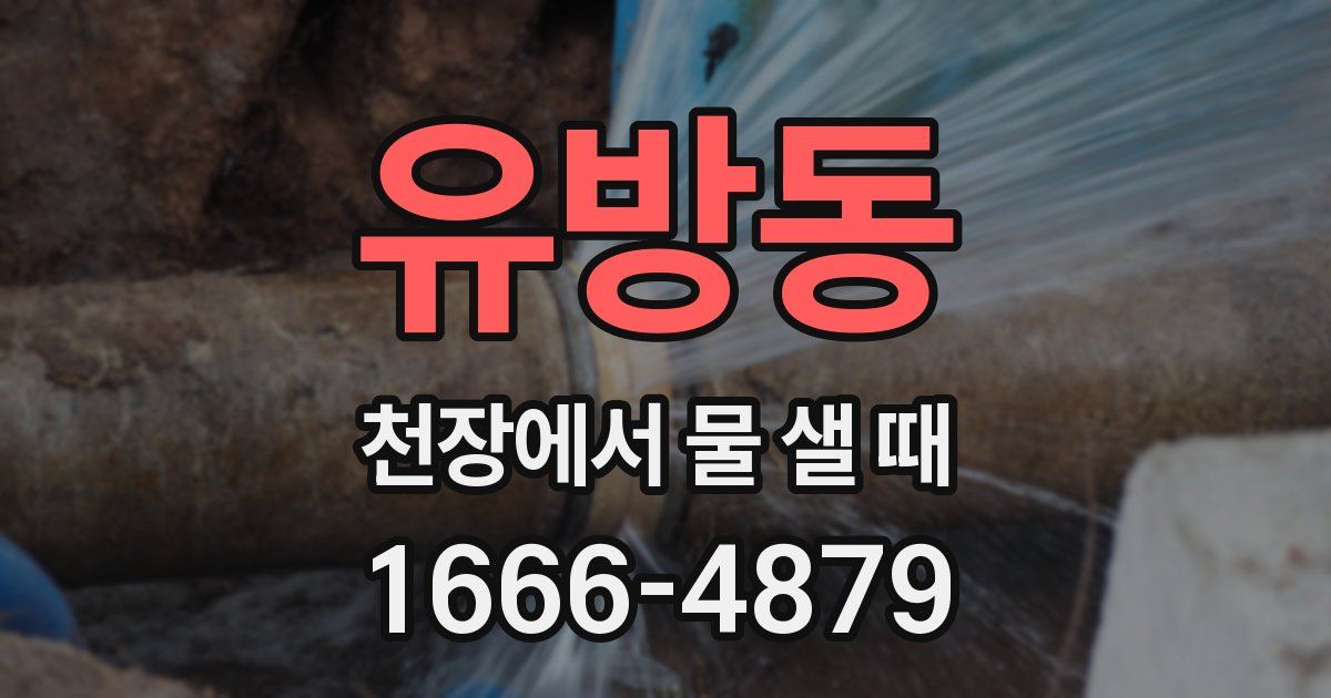 유방동 천장에서 물 샐 때