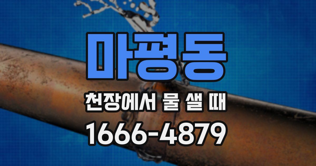 마평동 천장에서 물 샐 때