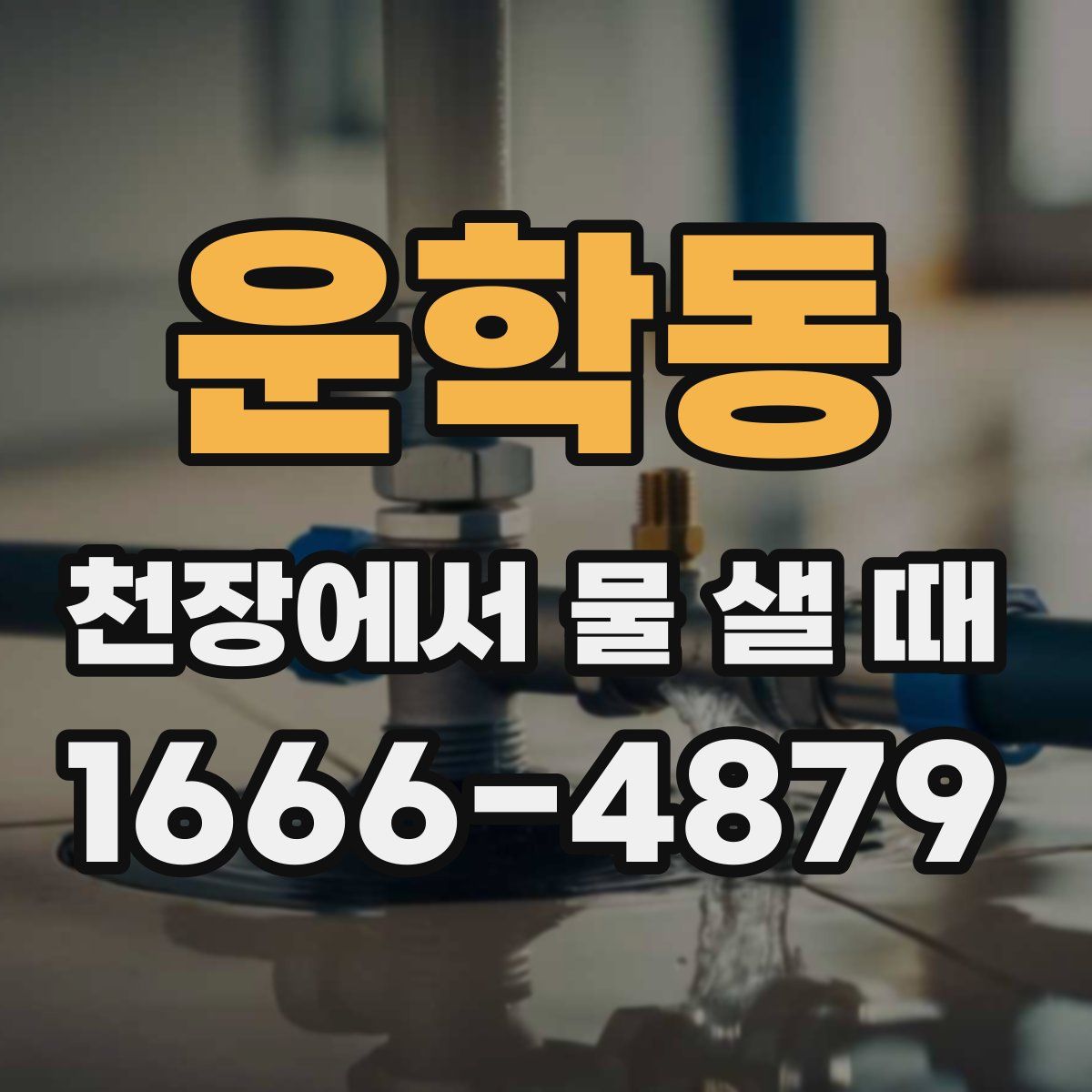 운학동 천장에서 물 샐 때