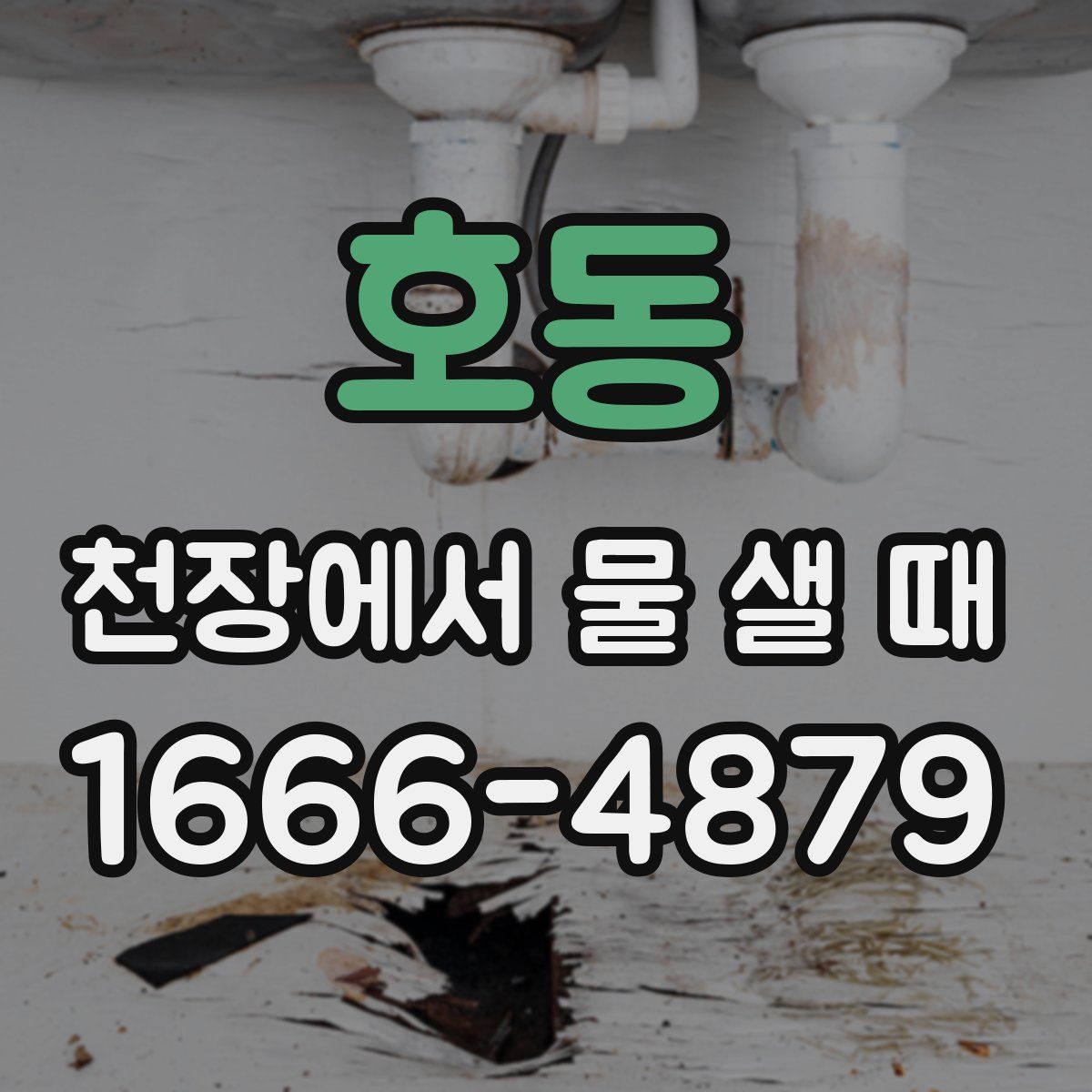 호동 천장에서 물 샐 때