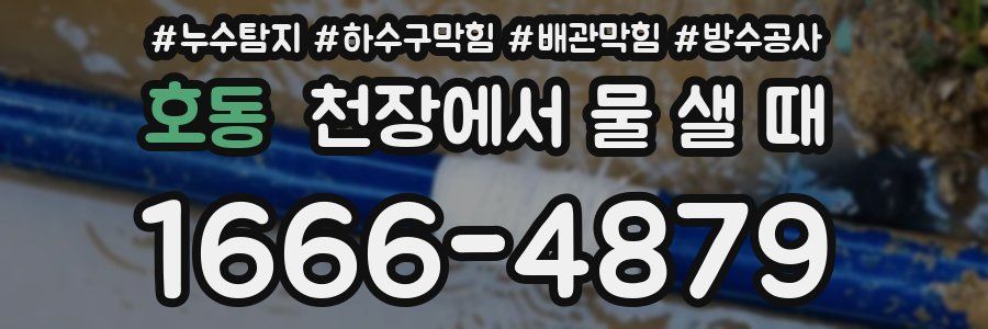 호동 천장에서 물 샐 때