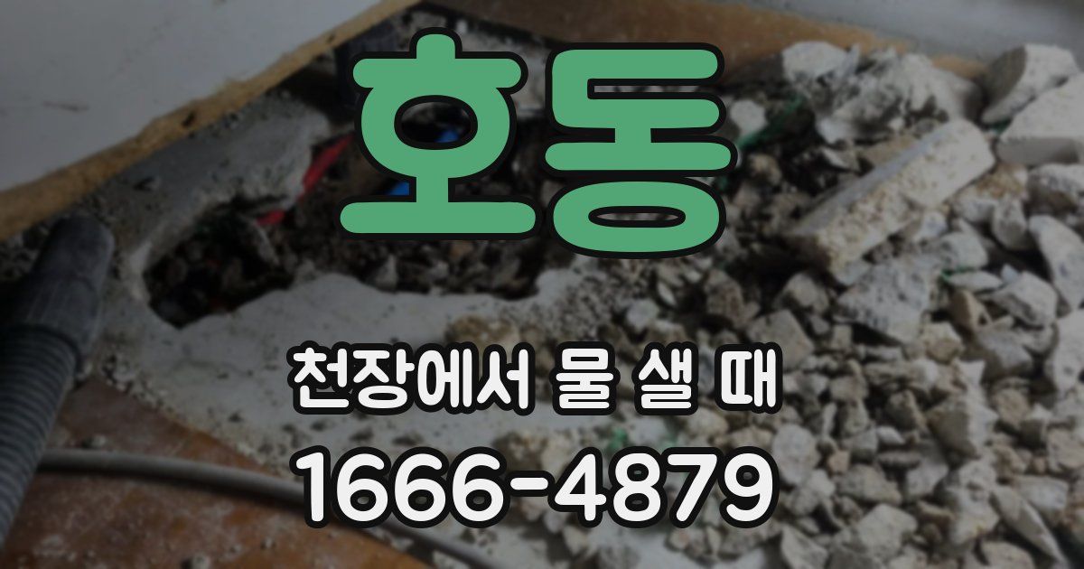 호동 천장에서 물 샐 때