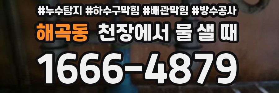 해곡동 천장에서 물 샐 때