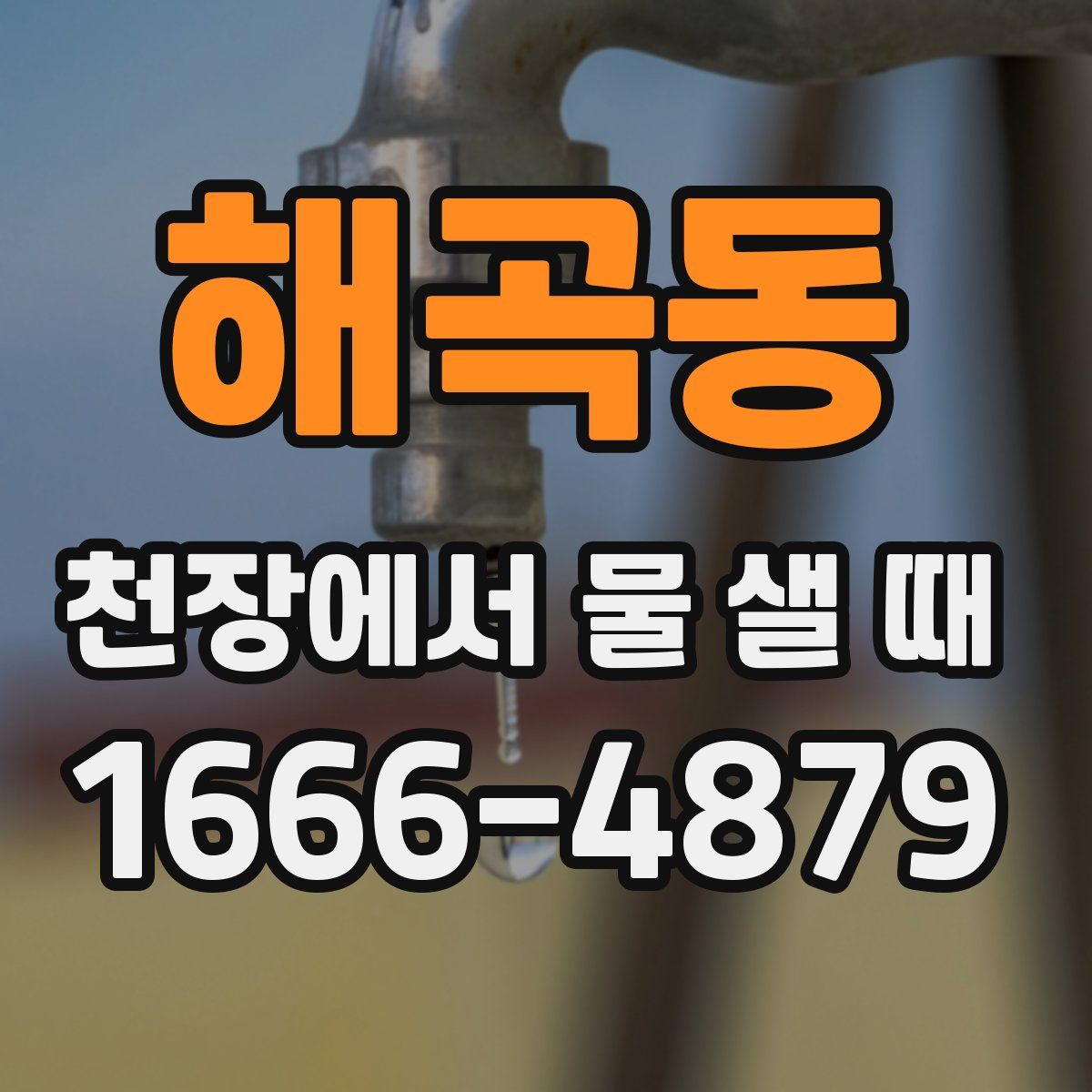 해곡동 천장에서 물 샐 때