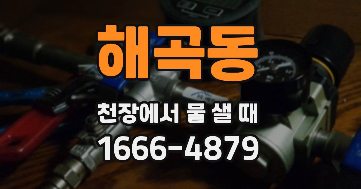 해곡동 천장에서 물 샐 때