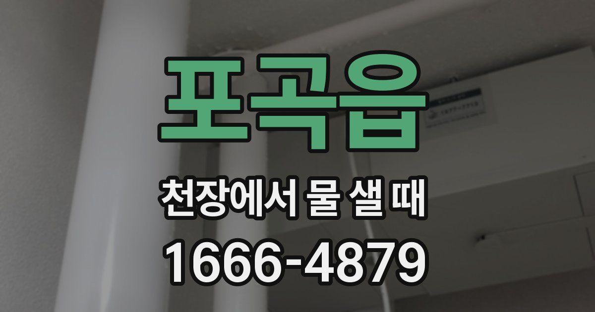 포곡읍 천장에서 물 샐 때