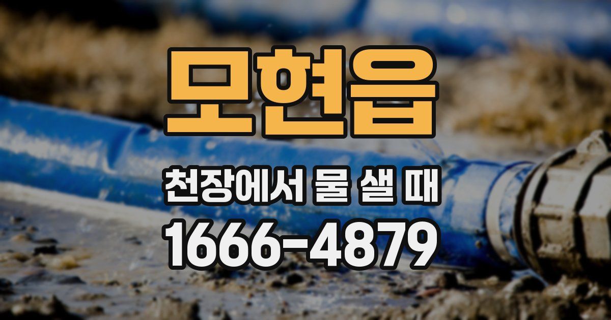 모현읍 천장에서 물 샐 때
