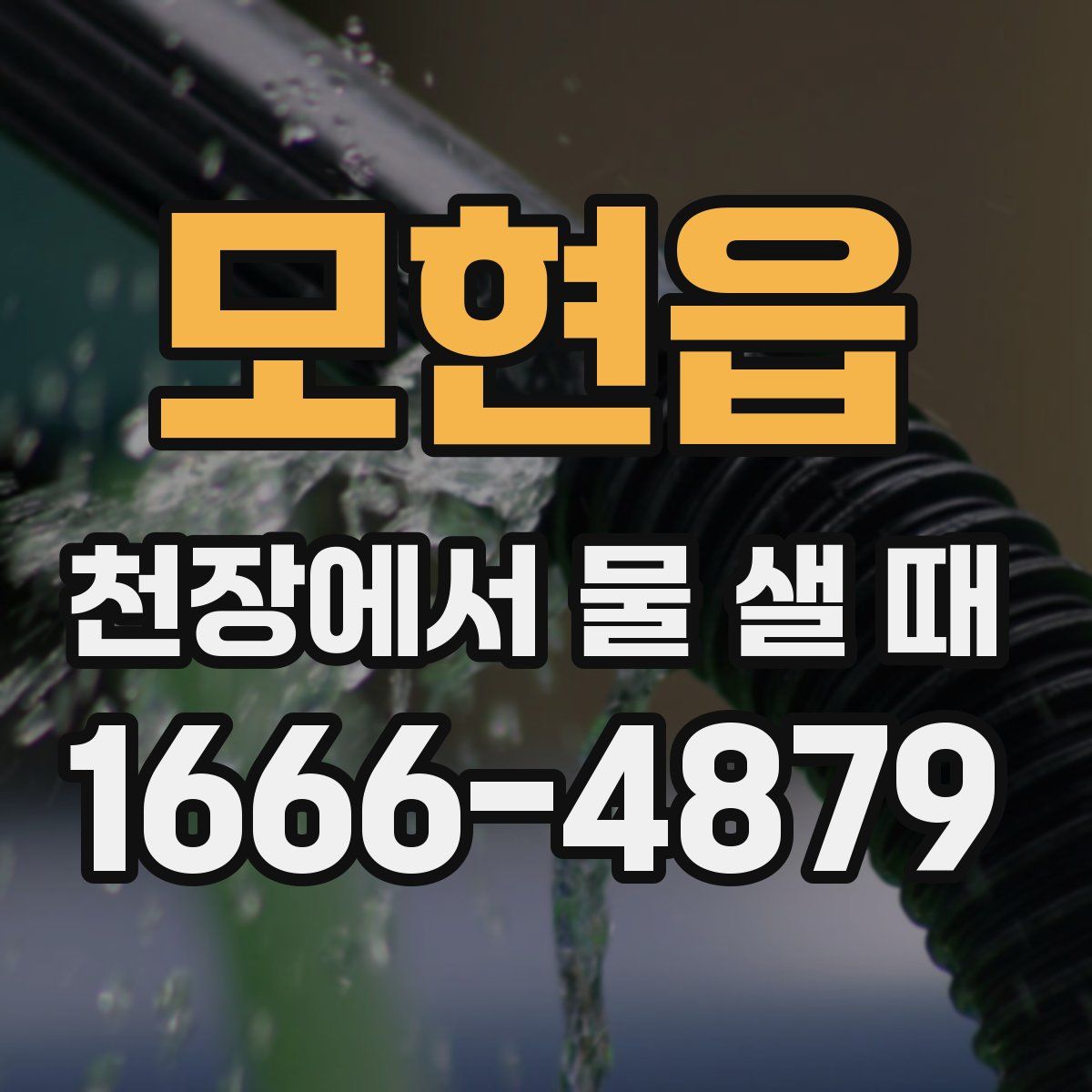 모현읍 천장에서 물 샐 때