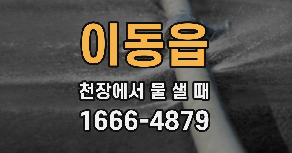이동읍 천장에서 물 샐 때