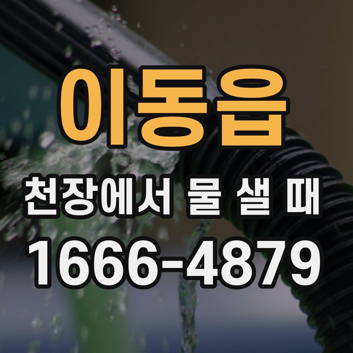 이동읍 천장에서 물 샐 때