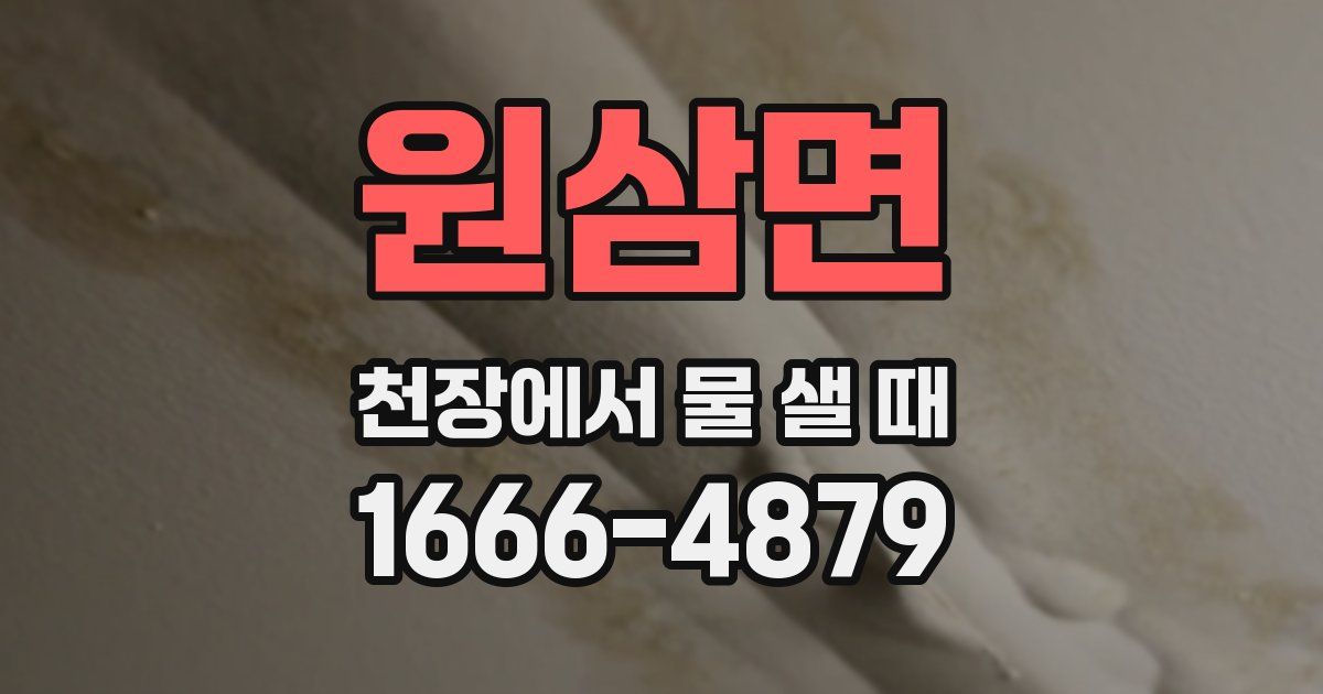 원삼면 천장에서 물 샐 때