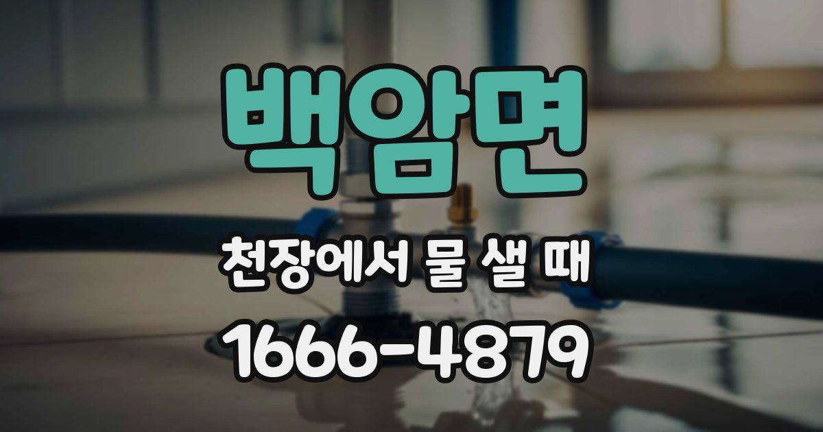 백암면 천장에서 물 샐 때