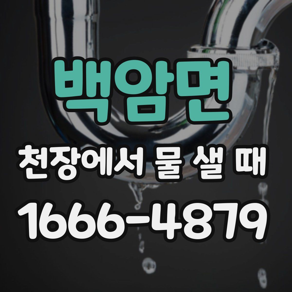 백암면 천장에서 물 샐 때