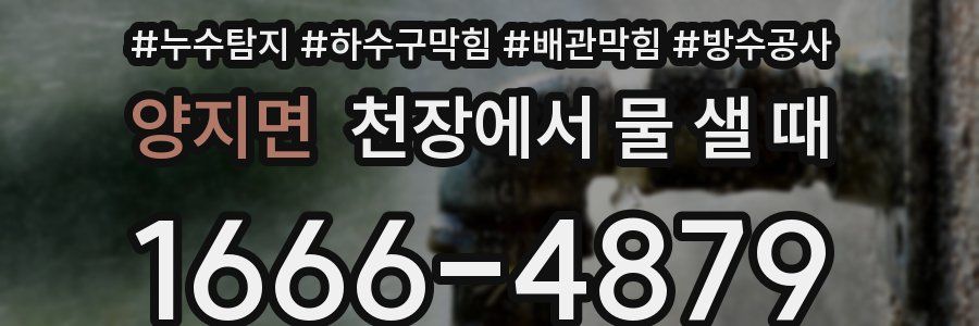 양지면 천장에서 물 샐 때