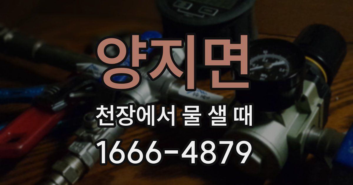 양지면 천장에서 물 샐 때