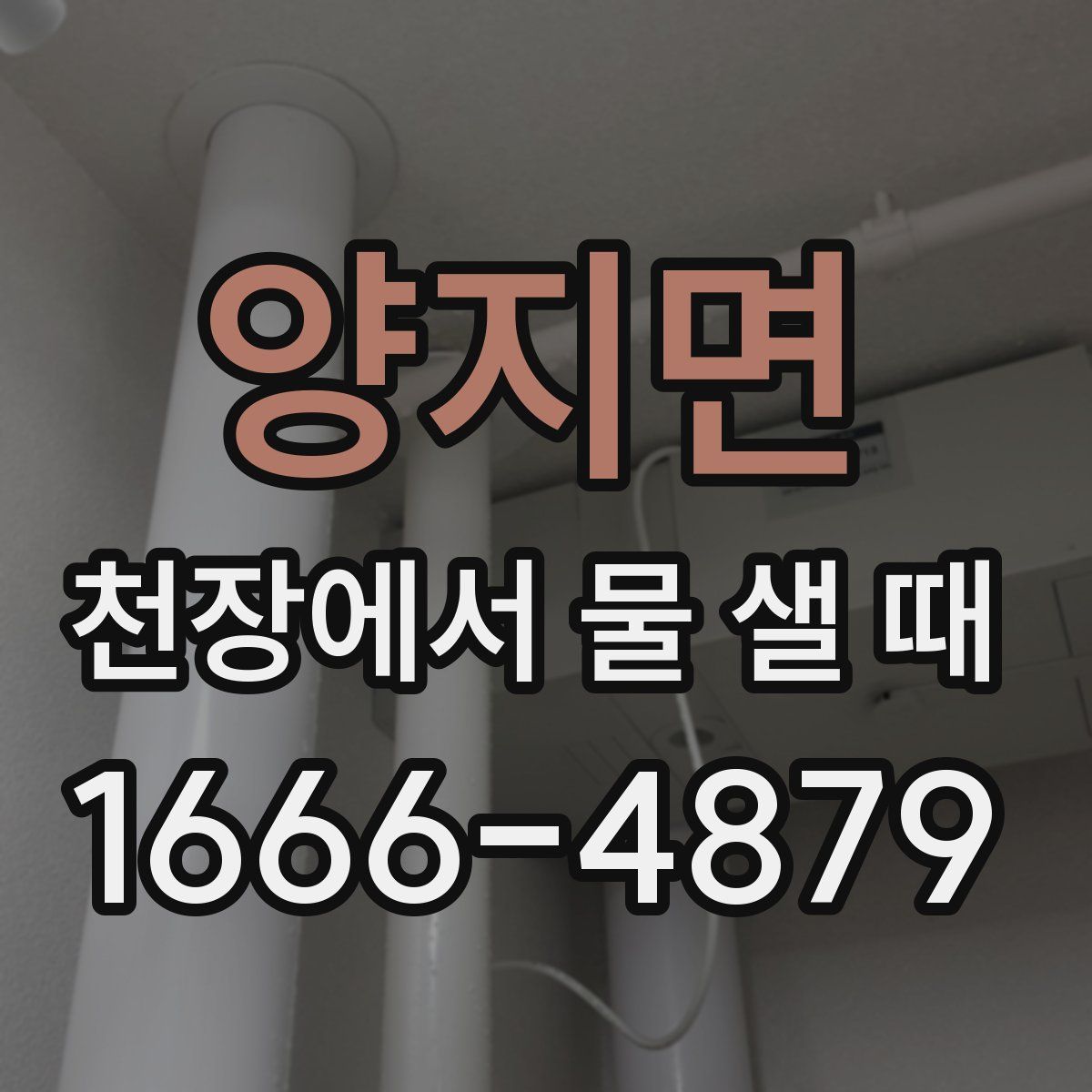 양지면 천장에서 물 샐 때