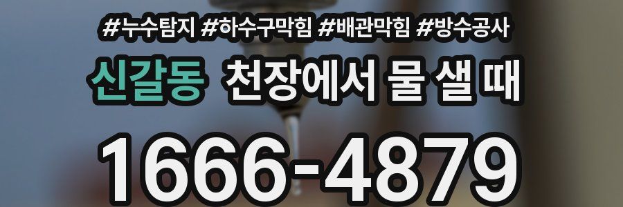 신갈동 천장에서 물 샐 때