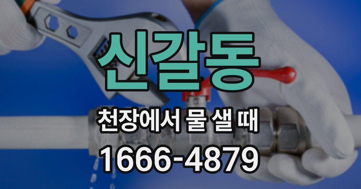 신갈동 천장에서 물 샐 때