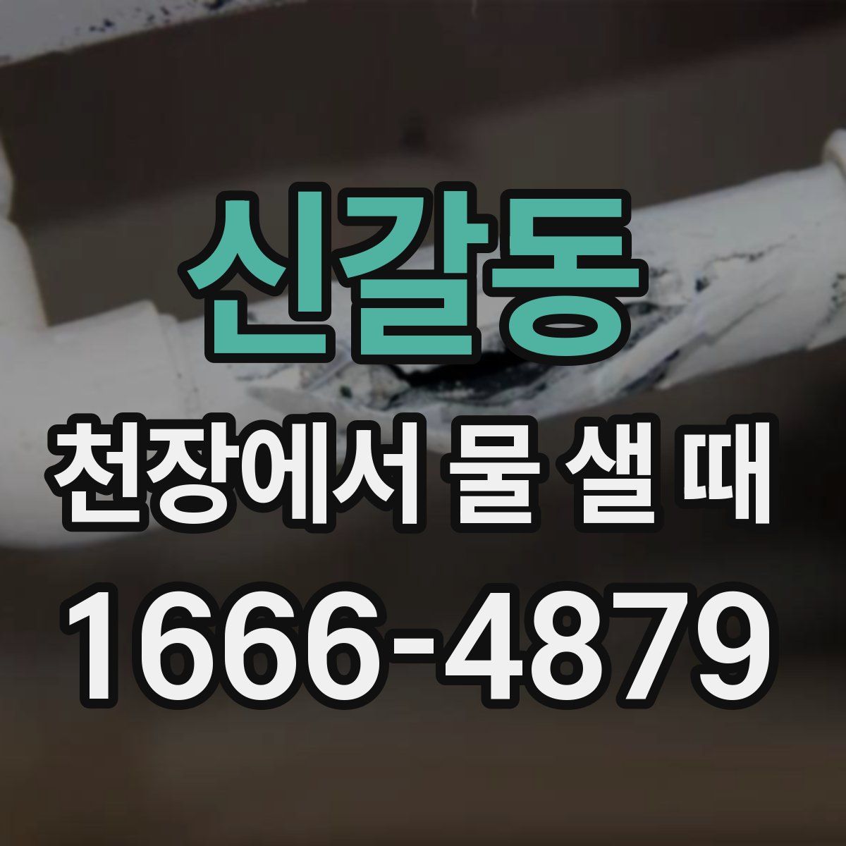 신갈동 천장에서 물 샐 때