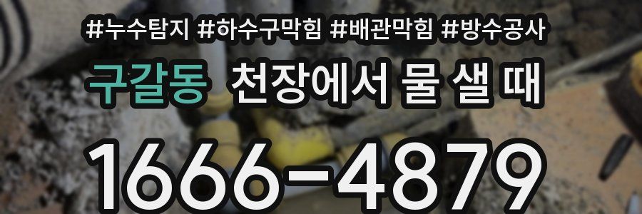 구갈동 천장에서 물 샐 때