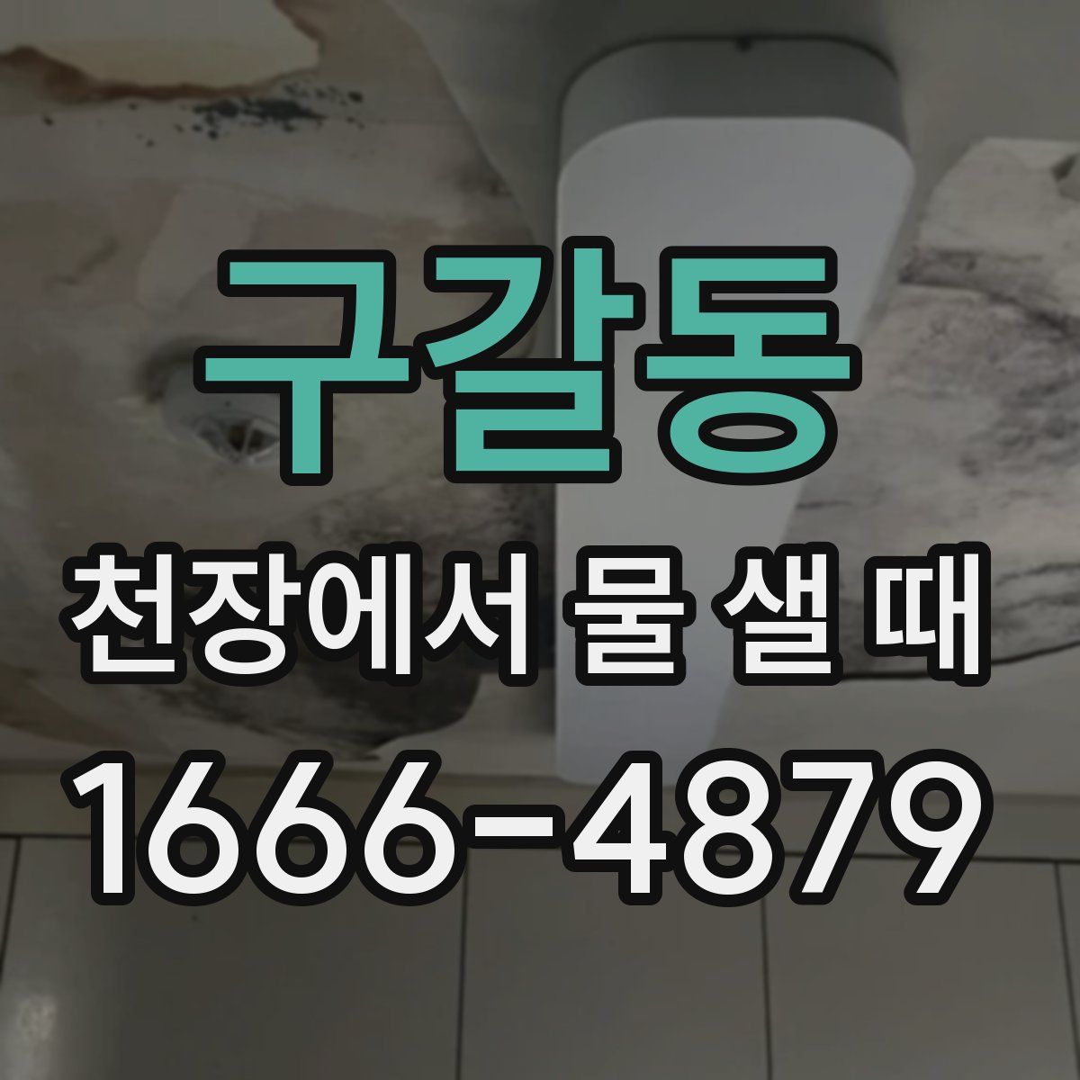 구갈동 천장에서 물 샐 때