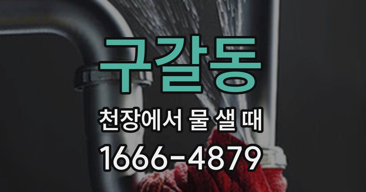 구갈동 천장에서 물 샐 때