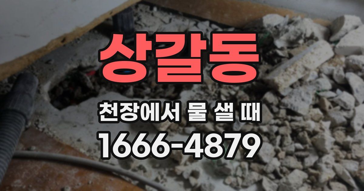 상갈동 천장에서 물 샐 때