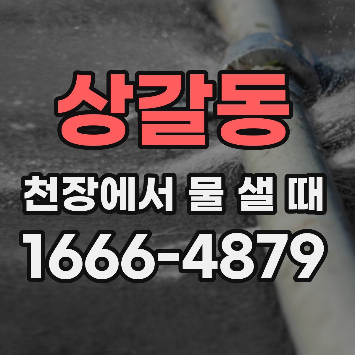 상갈동 천장에서 물 샐 때