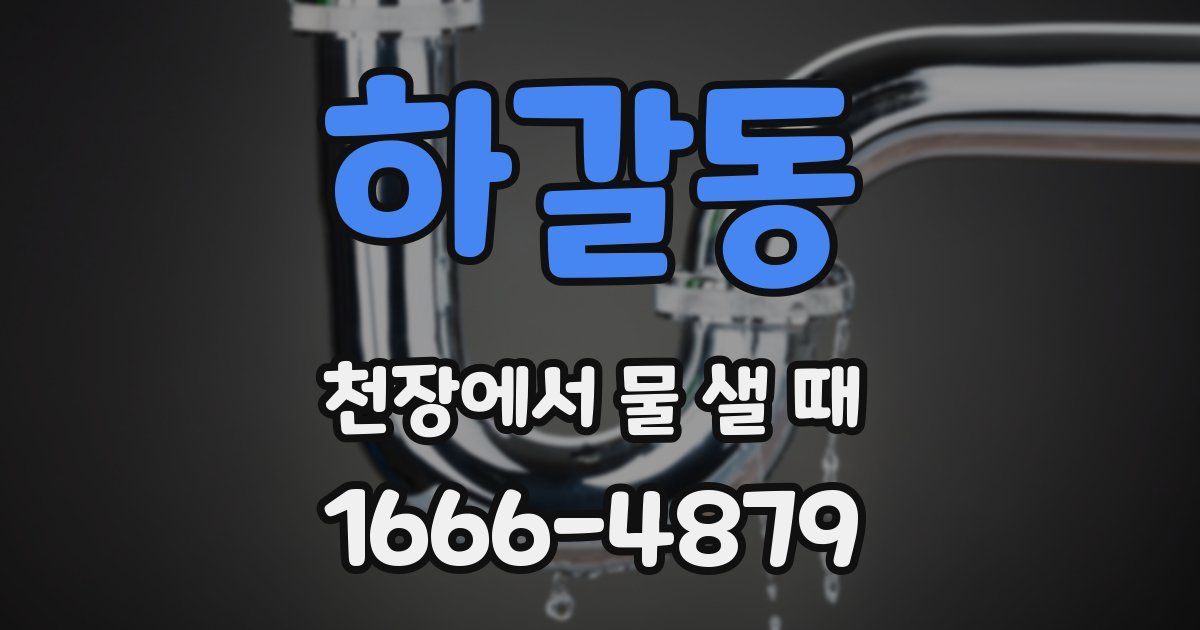 하갈동 천장에서 물 샐 때