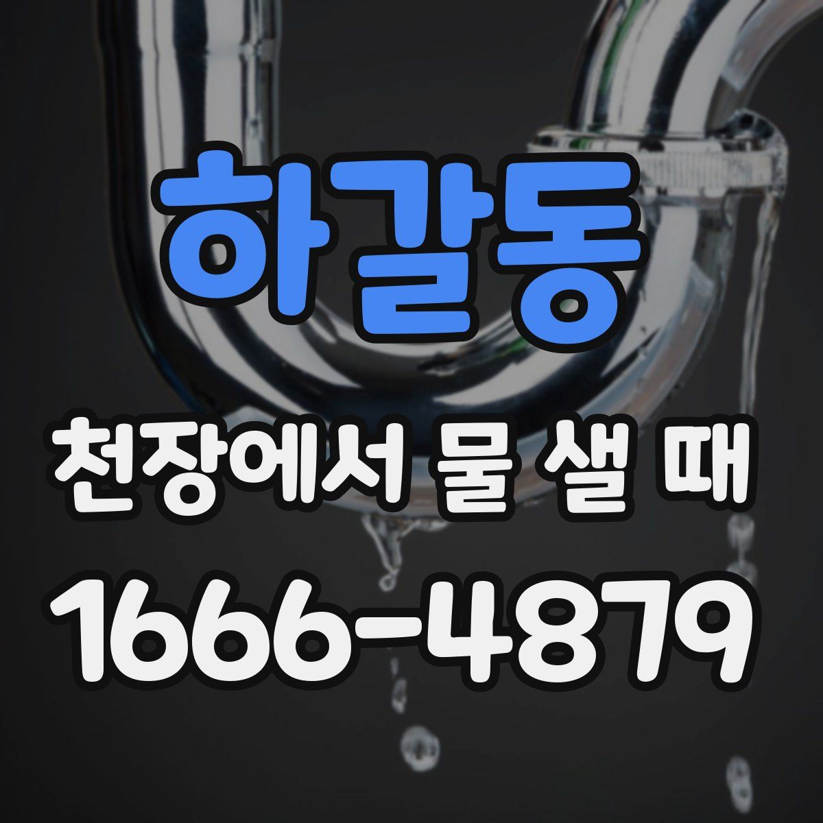 하갈동 천장에서 물 샐 때