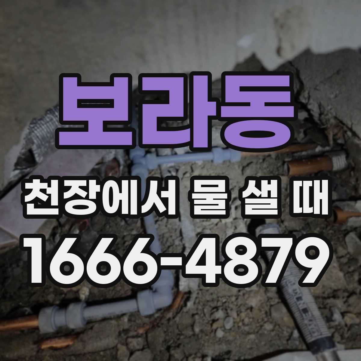 보라동 천장에서 물 샐 때