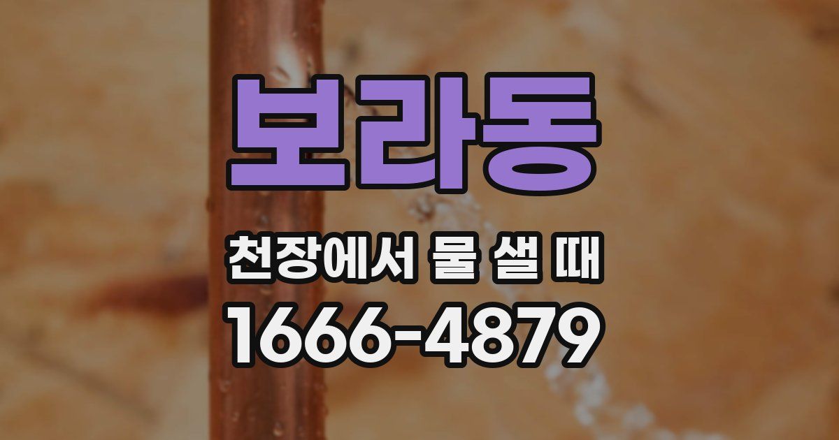 보라동 천장에서 물 샐 때