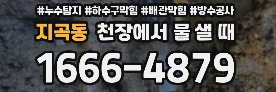 지곡동 천장에서 물 샐 때
