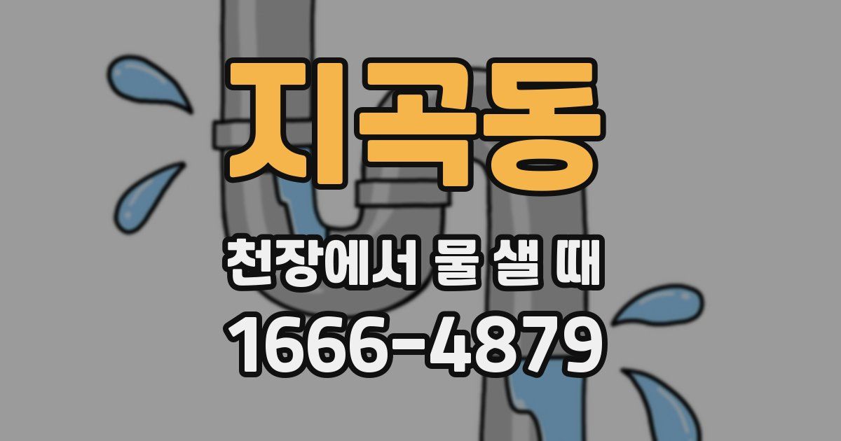 지곡동 천장에서 물 샐 때