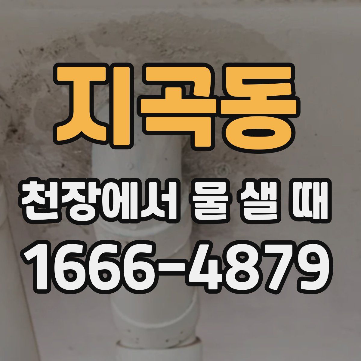 지곡동 천장에서 물 샐 때