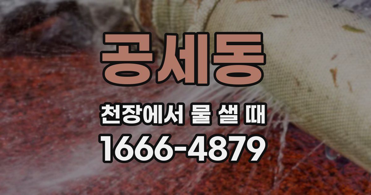 공세동 천장에서 물 샐 때