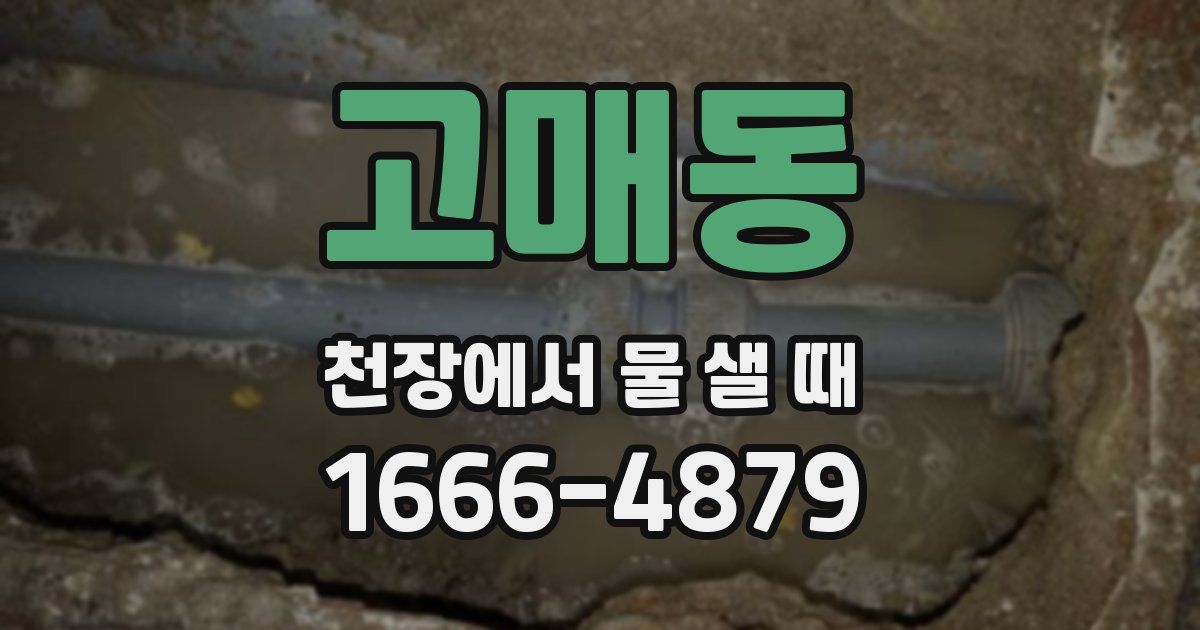 고매동 천장에서 물 샐 때